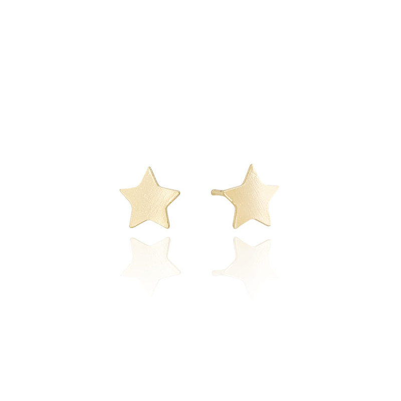 Brinco Estrela Flat Lisa Banhado a Ouro 18K