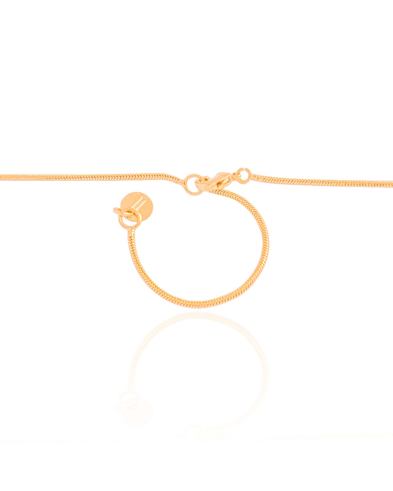 Gargantilha Rabo de Rato Pingente Orgânico Texturizado Banhado a Ouro 18K - 45 cm