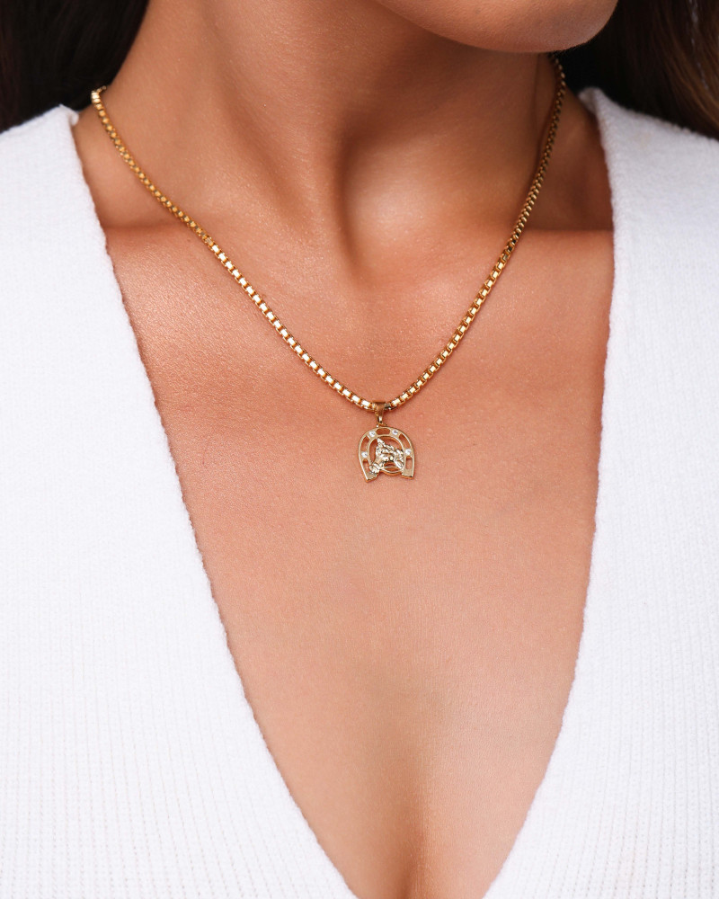 Gargantilha Ferradura Cavalo Cravejado Cristal Banhado a Ouro 18K - 45 cm