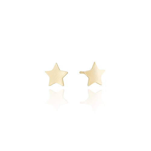 Brinco Estrela Flat Lisa Banhado a Ouro 18K