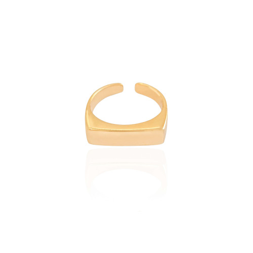 Anel Ajustável de Dedinho Reto Liso Tamanho P Banhado a Ouro 18K