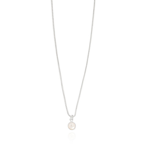 Gargantilha Veneziana Pérola 5 mm Ródio Branco - 40 cm