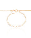 Choker Rabo de Rato Banhado a Ouro 18K